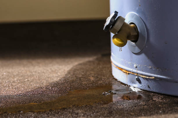 Best Residential water damage restoration  in Templeton, CA