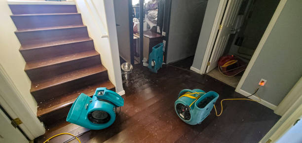 Best Flooded house restoration  in Templeton, CA