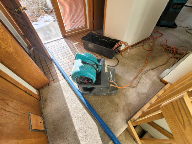 Best 24/7 water damage repair  in Templeton, CA