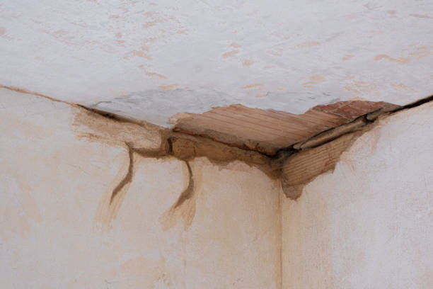 Professional Water damage restoration in Templeton, CA
