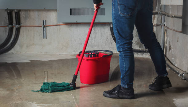Water damage restoration experts in Templeton, CA