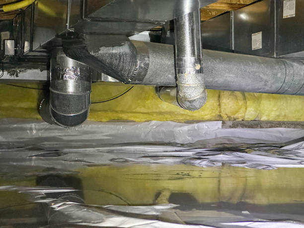 Best Flood damage cleanup  in Templeton, CA