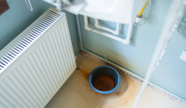 Best Local water damage restoration  in Templeton, CA