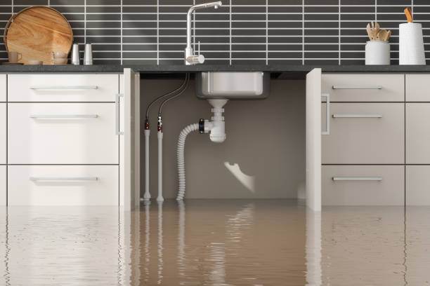 Professional Water damage restoration in Templeton, CA