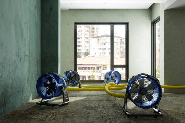 Best Mold removal after water damage  in Templeton, CA
